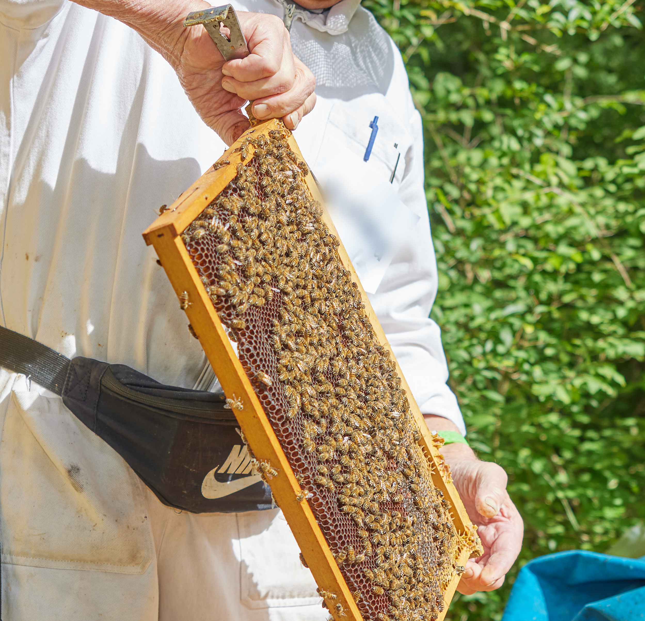 Ein Traum nimmt Gestalt an